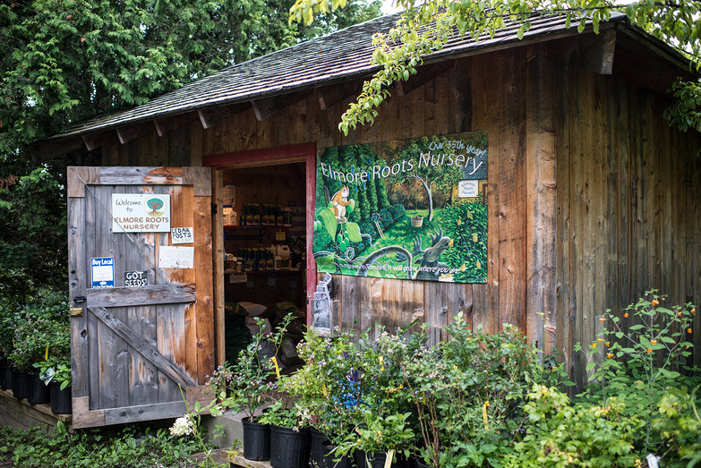 Elmore Roots Nursery