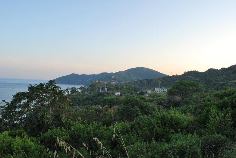 Elba Island View