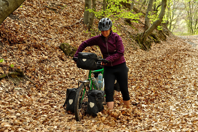 Tara in the Leaves