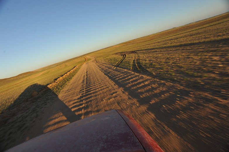 Driving in the Golden Hour