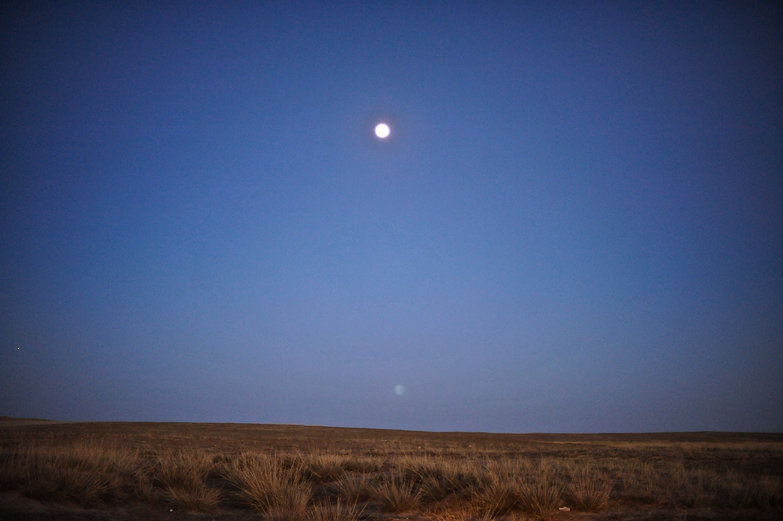 Mongolian Moon