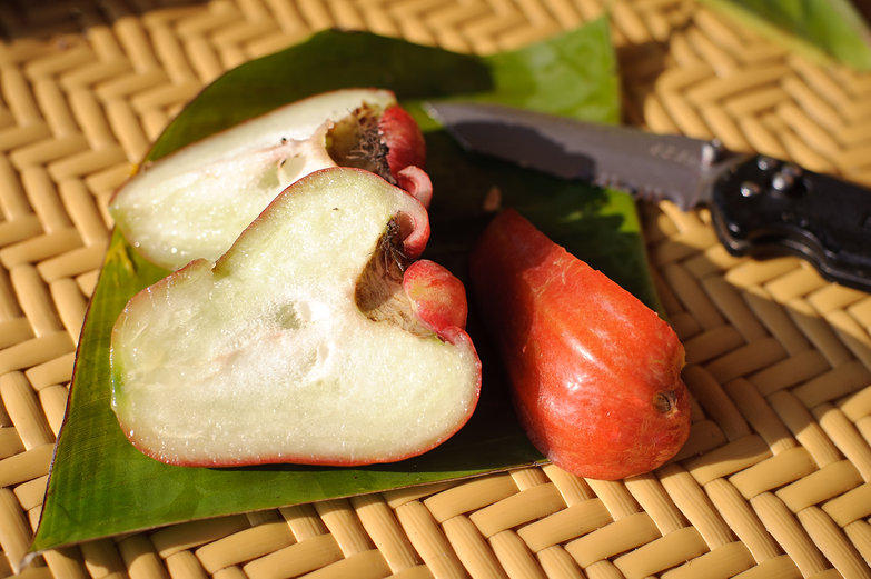 Cut Water Apple