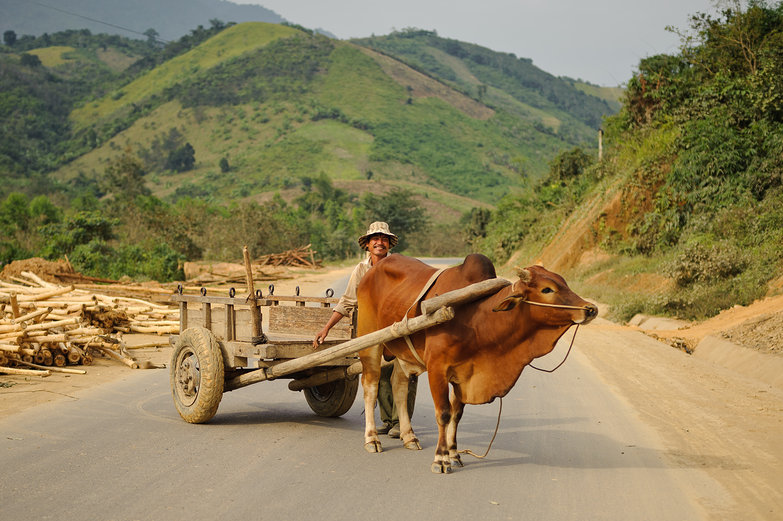 Vietnamese Man on Wooden Pullcart